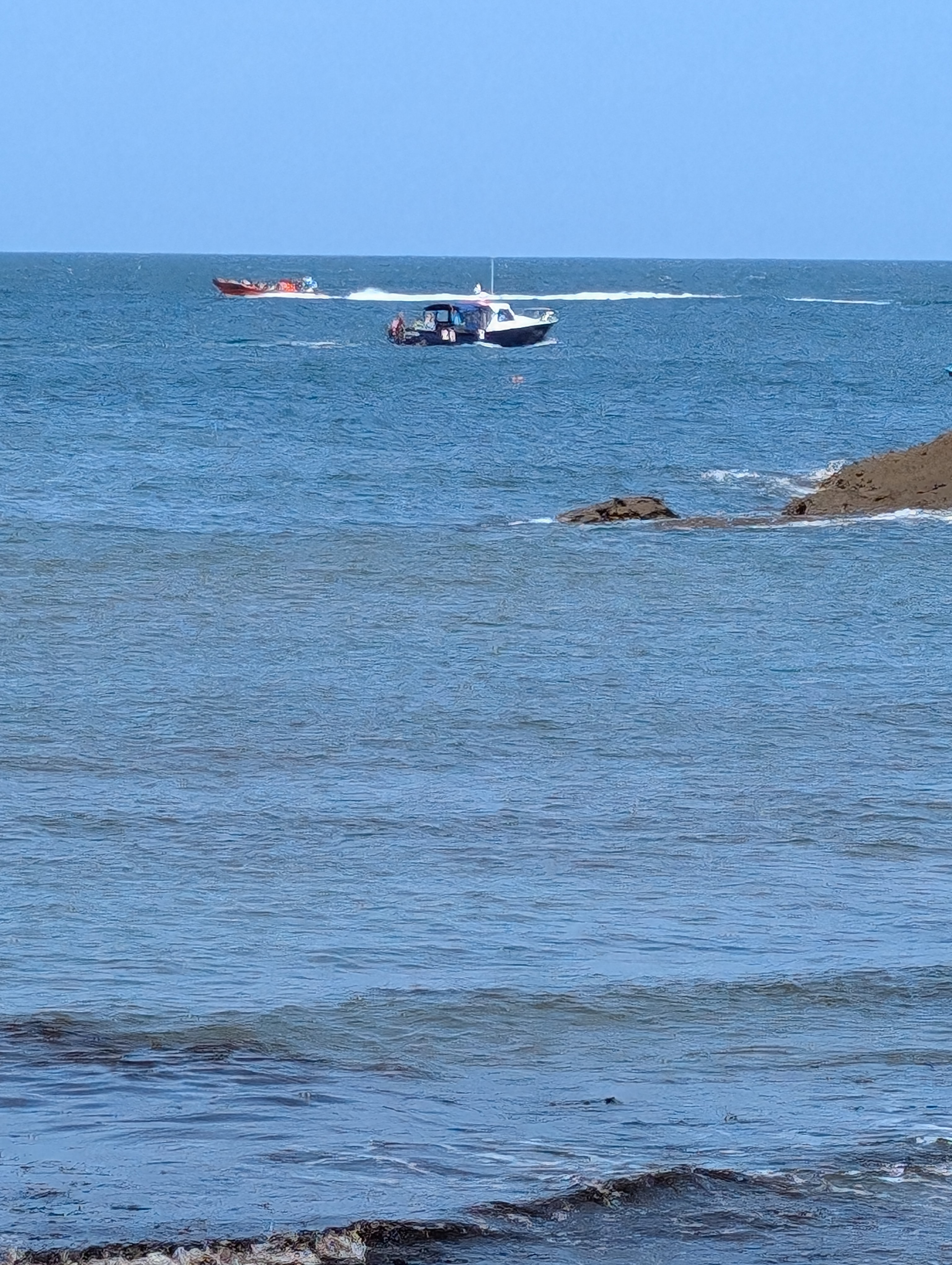 Kittiwake Charters