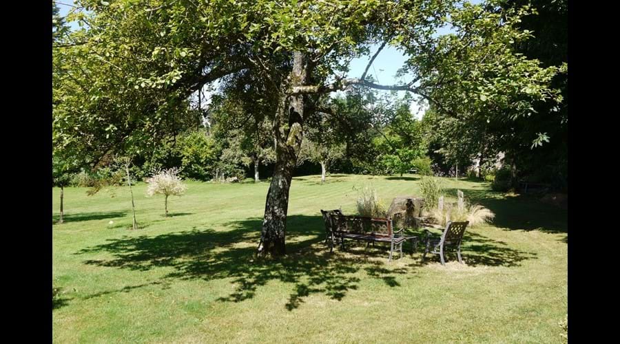 Le Haut Fresnay - The Main Lawn Area (leading to the orchard)