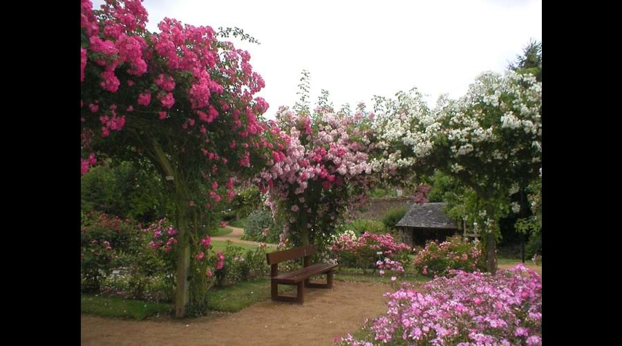 The Rose Garden at Lassay-les-Chateaux