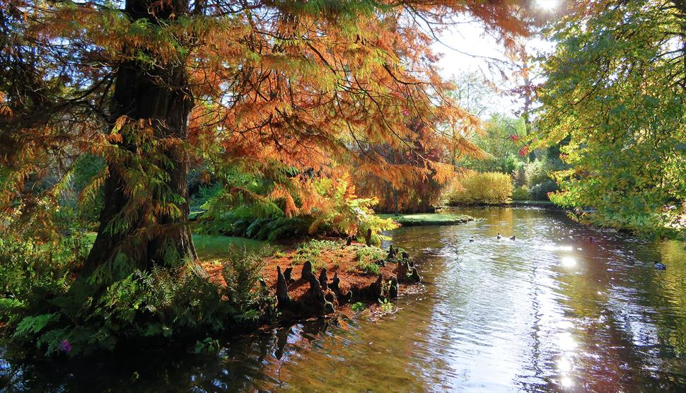 Longstock Water Garden