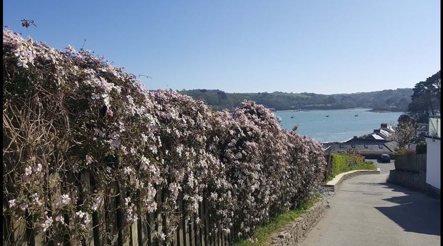 A floral welcome to the Helford