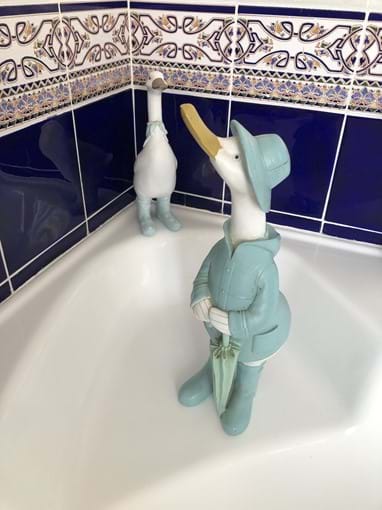 Private Bathroom