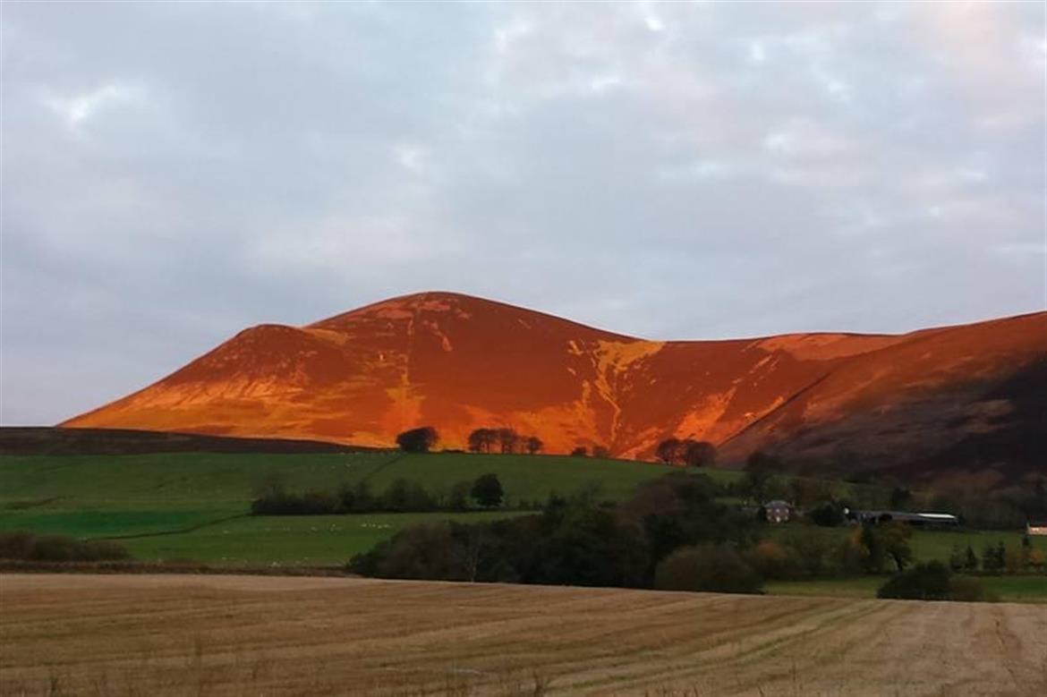 84, 0, 1170, 779, 812, 540