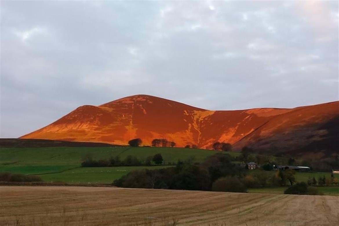 84, 0, 1170, 779, 812, 540