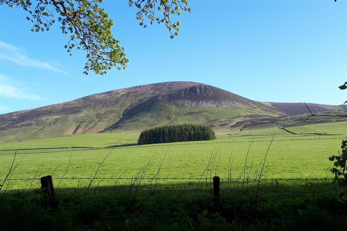 0, 0, 1170, 779, 2048, 1362