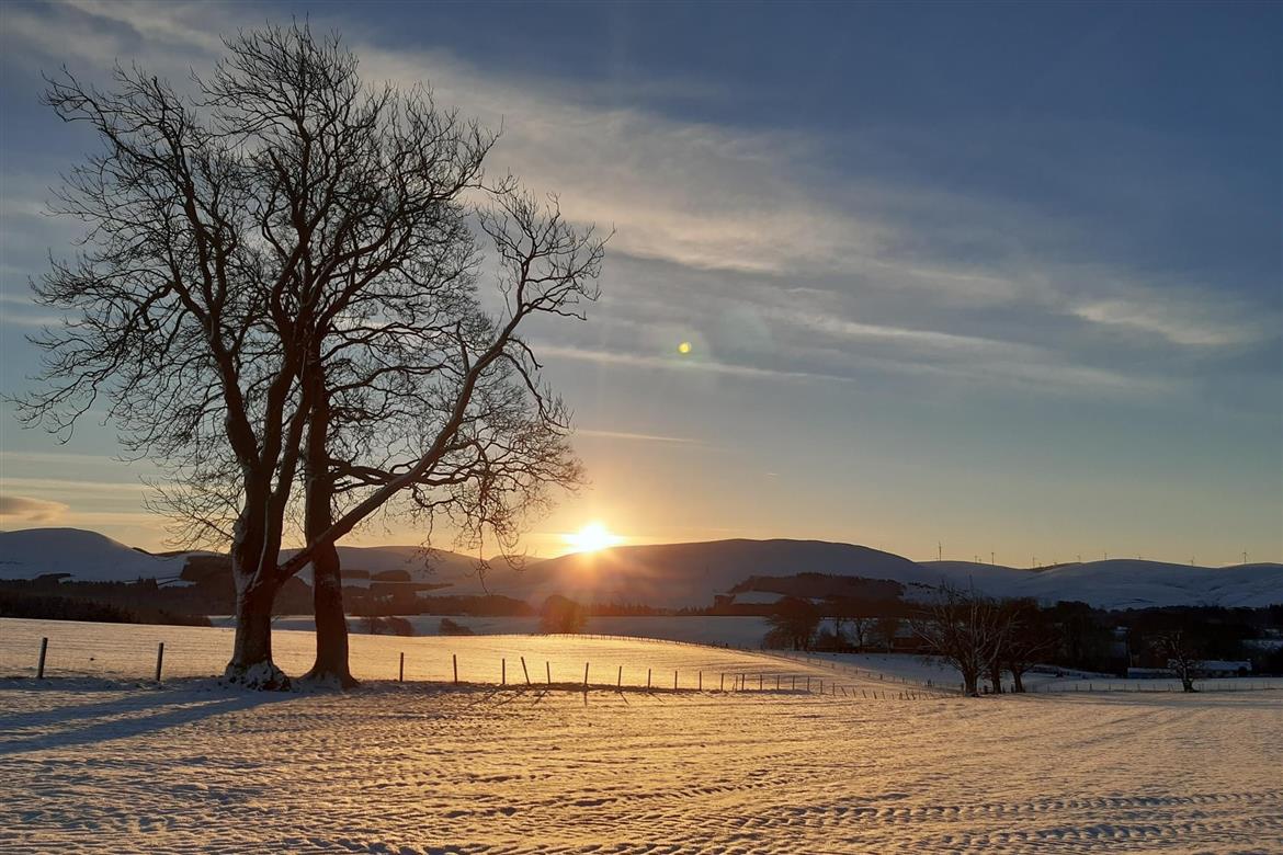 0, 17, 1170, 780, 2048, 1365