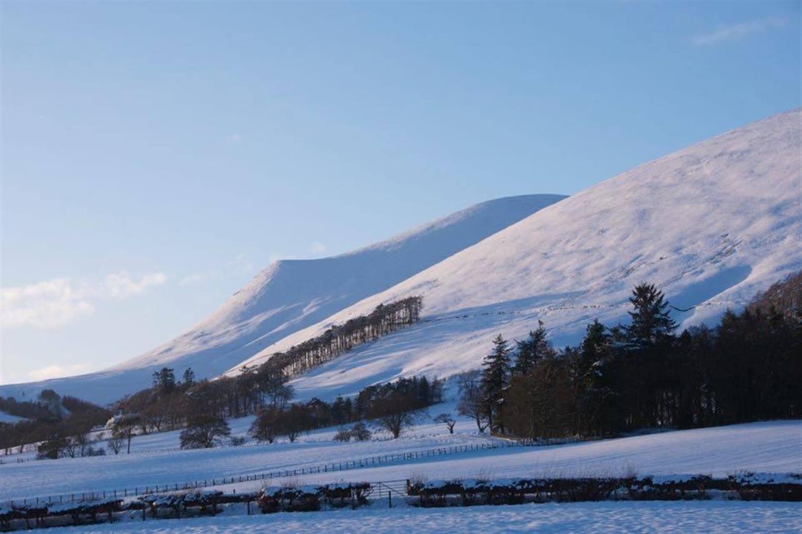 0, 0, 1170, 779, 962, 640