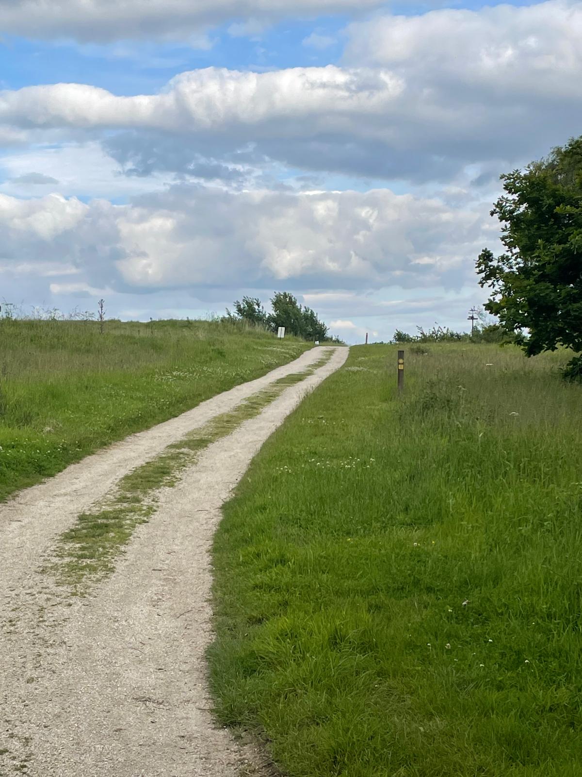 Follow public footpath signs across the golf course