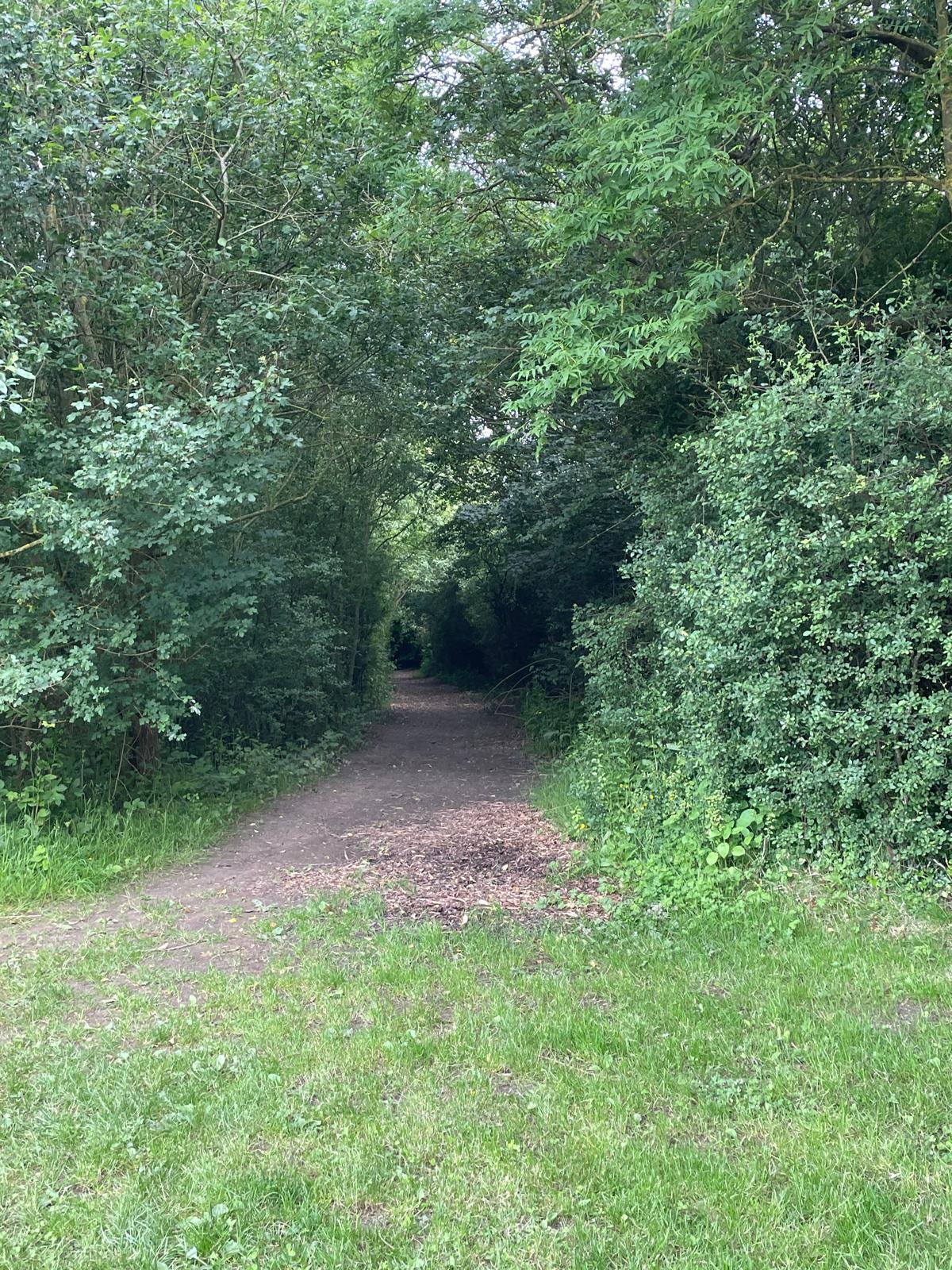 Follow public footpath signs through trees