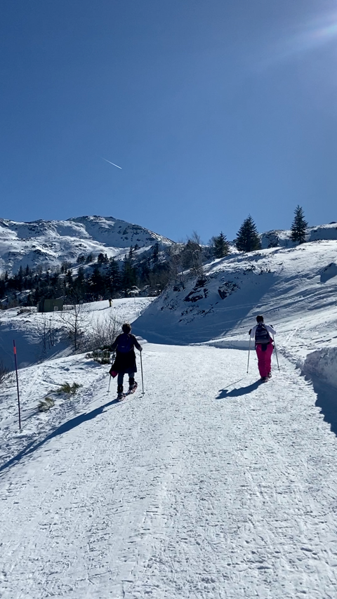 Snowshoeing in Les Monts d