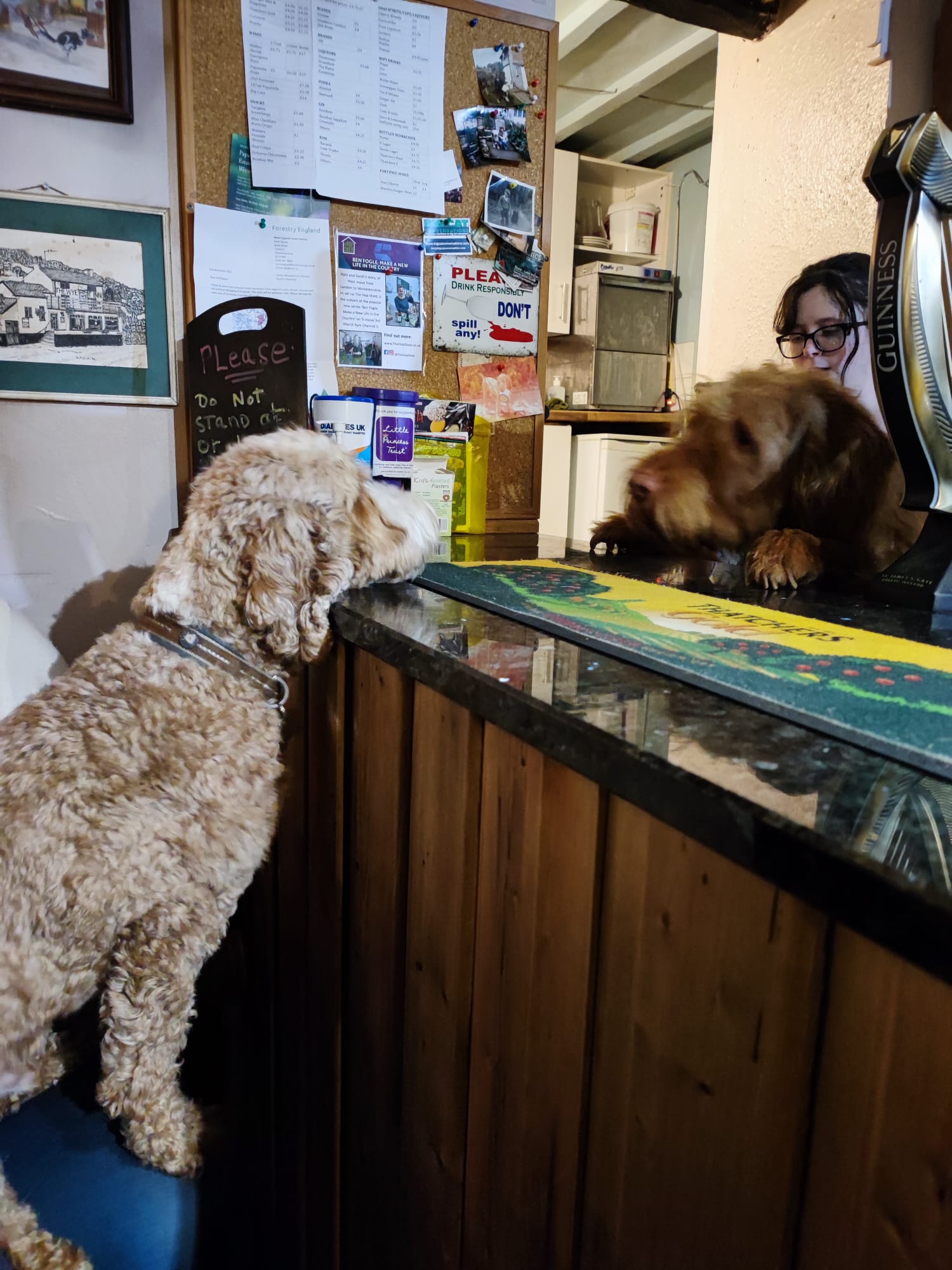 The very dog friendly Wye Knot Inn