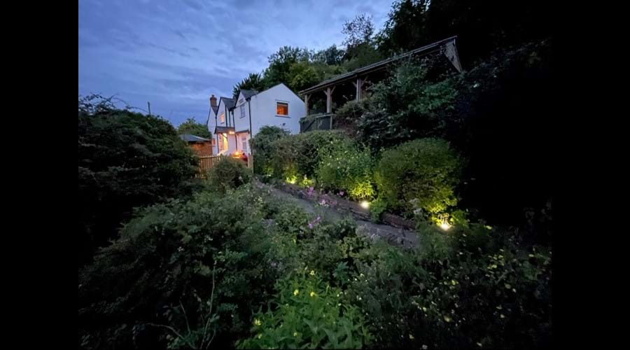 Lower garden at dusk