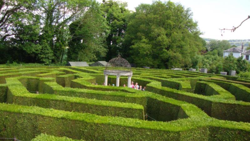 Lose yourself in the aMazing Hedge Puzzle - 5 mins walk away
