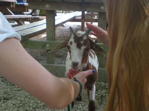 baby friendly villas in france