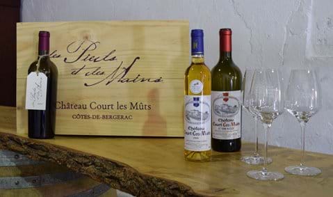 holiday villa in france with private pool