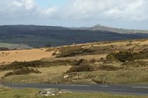 Beautifuly rugged Dartmoor 