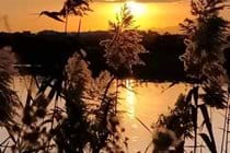Sunset at Oroklini Lake