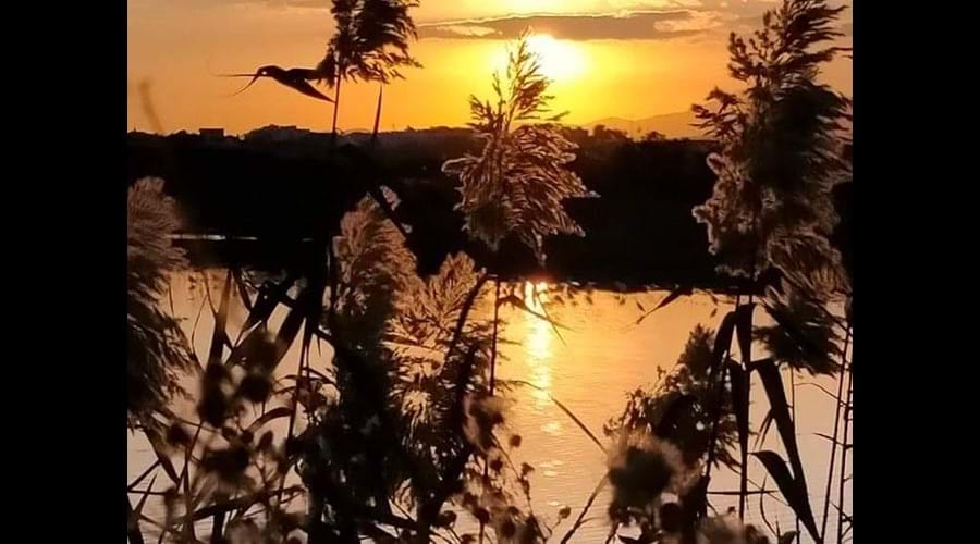 Sunset at Oroklini Lake