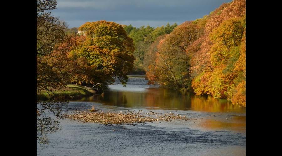 The Tees near Barnard Castle
