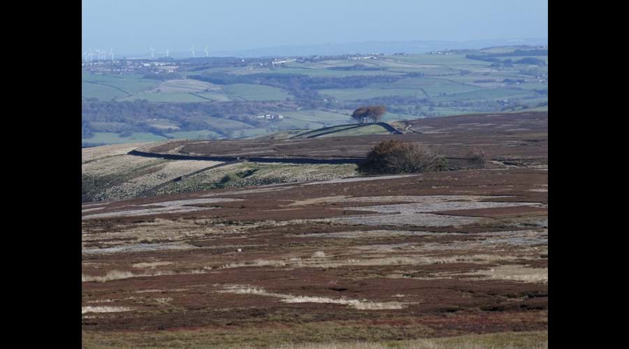 Moors above the cottage