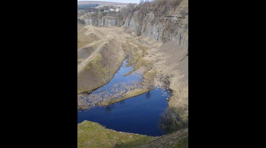 Ashes Quarry near Stanhope