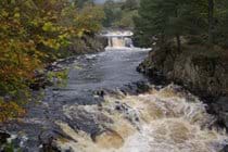Low Force in Teesdale