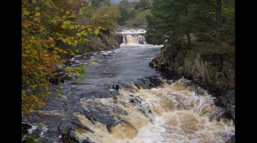 Low Force in Teesdale