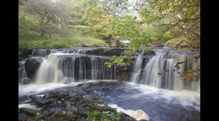 Slitt Wood