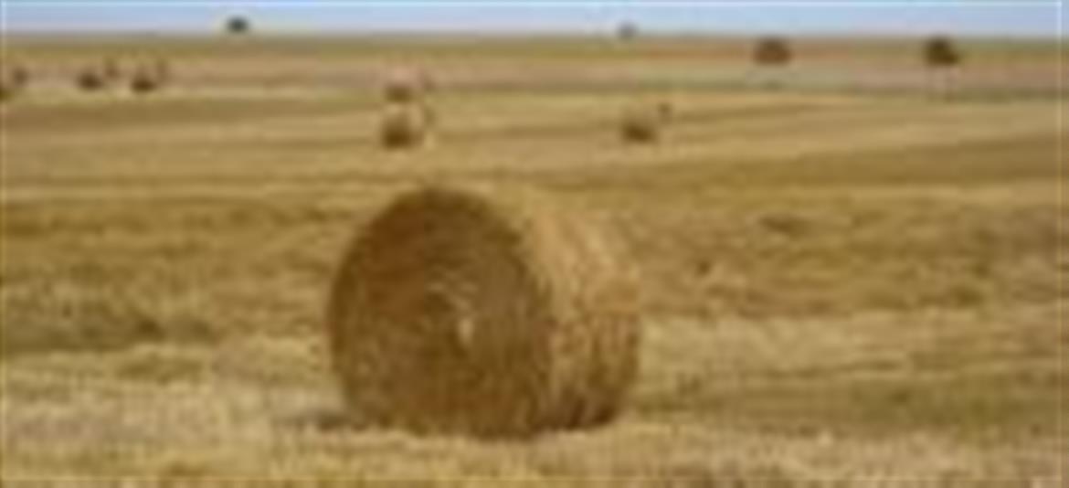 0, 0, 1170, 534, 160, 73