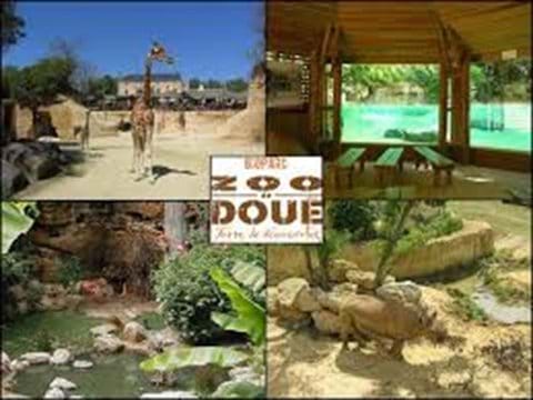 Zoo at Doue La Fontaine 