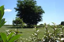 Back over from the bridge and into the main garden, you will find another shady seated spot to relax under and escape the midday sun