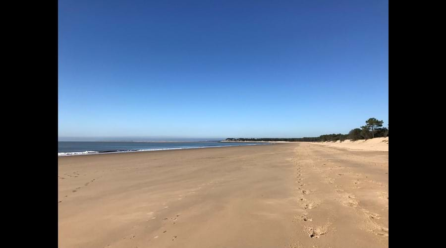 Miles of wonderful soft sand along La Grande Cote just passed Royan