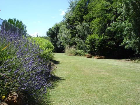 Fragrant, colourful lavender grows in abundance around the pool
