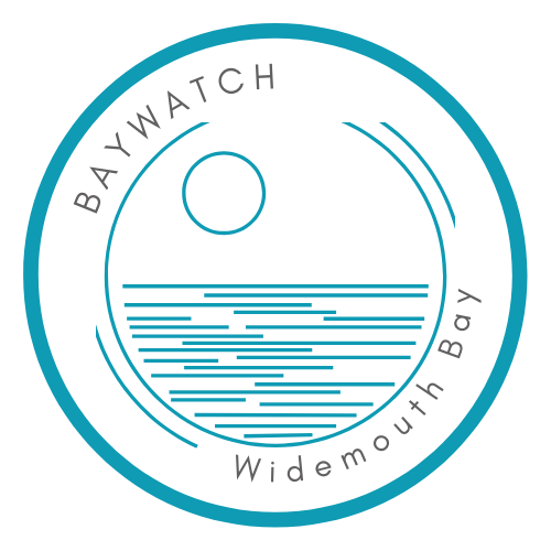 Logo - BAYWATCH WIDEMOUTH BAY CORNWALL