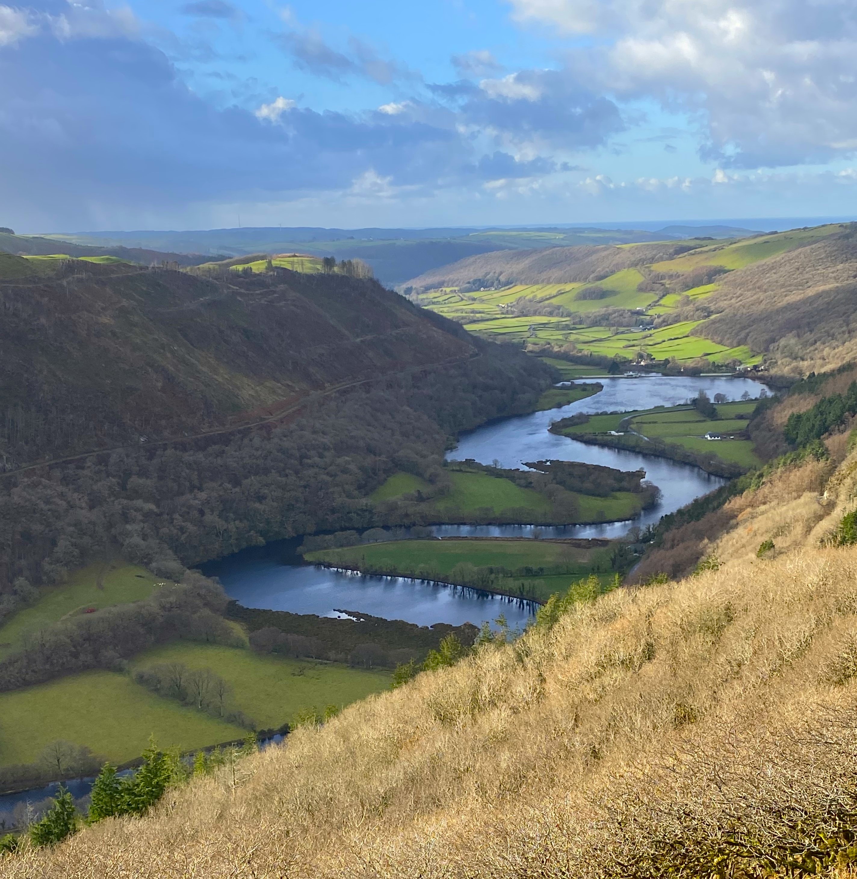 Cwm Rheidol