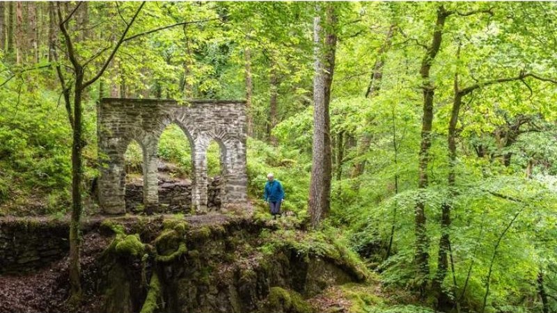 Lost arch of Hafod