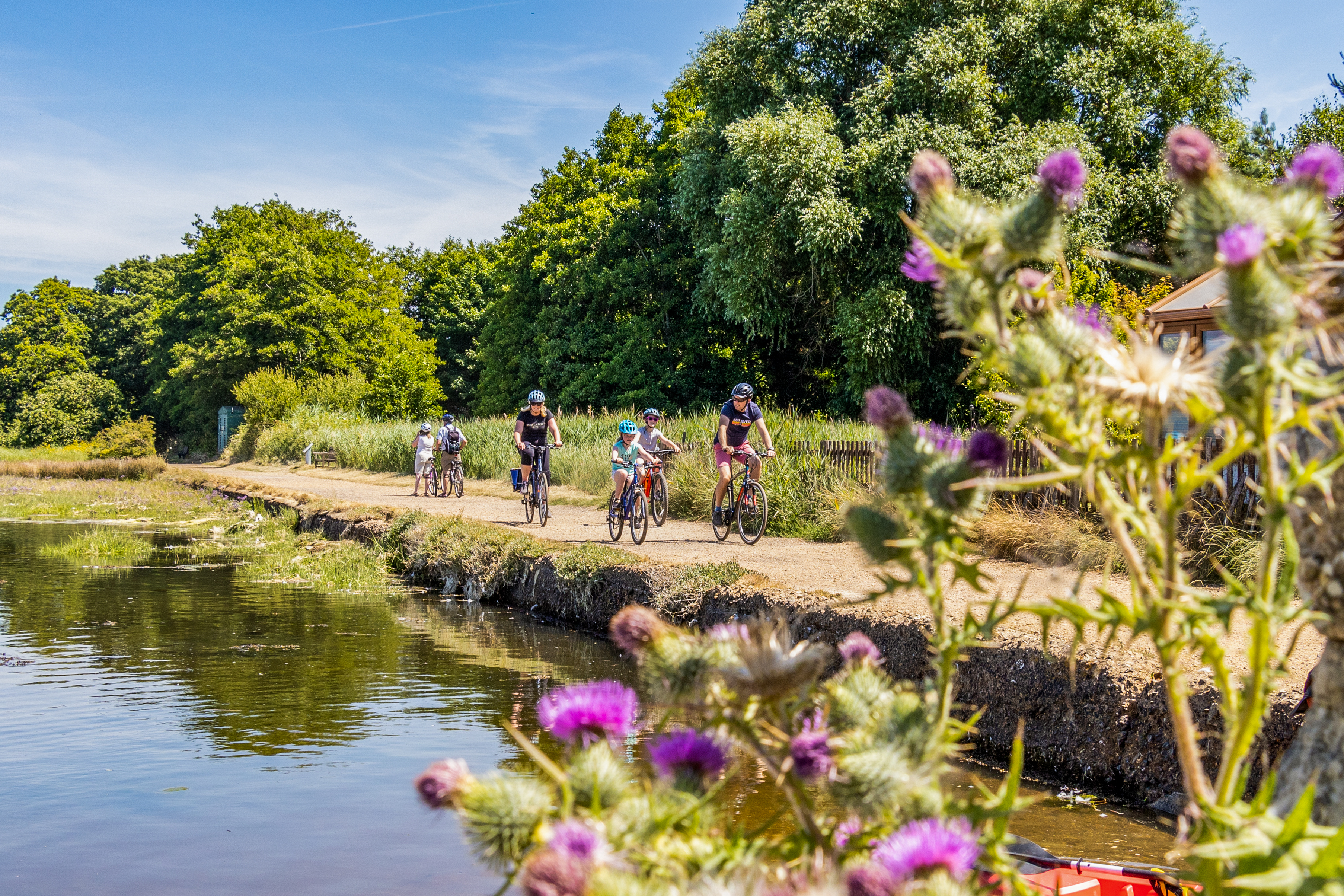 Wight Cycle Hire