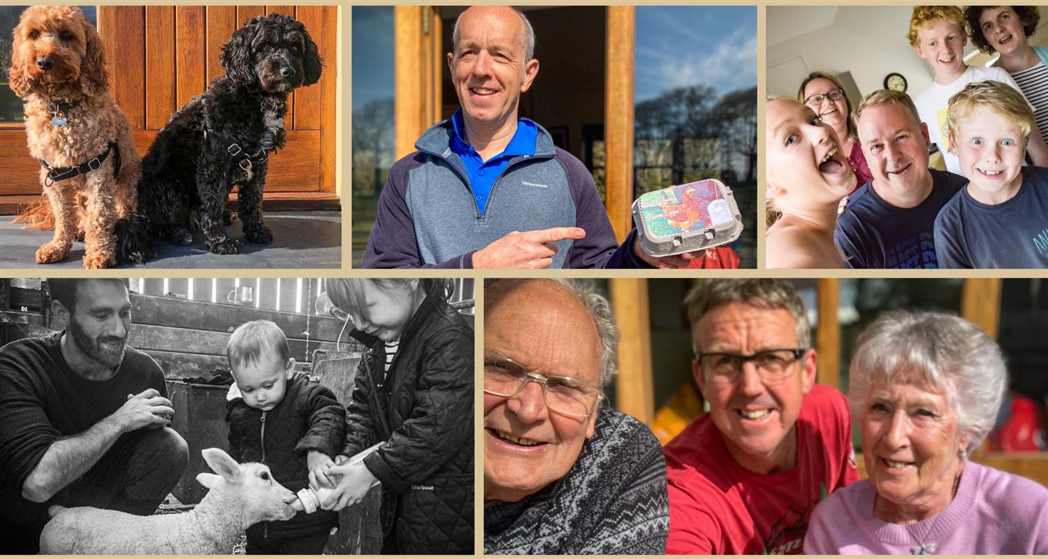 62, 0, 1500, 800, 2455, 1309