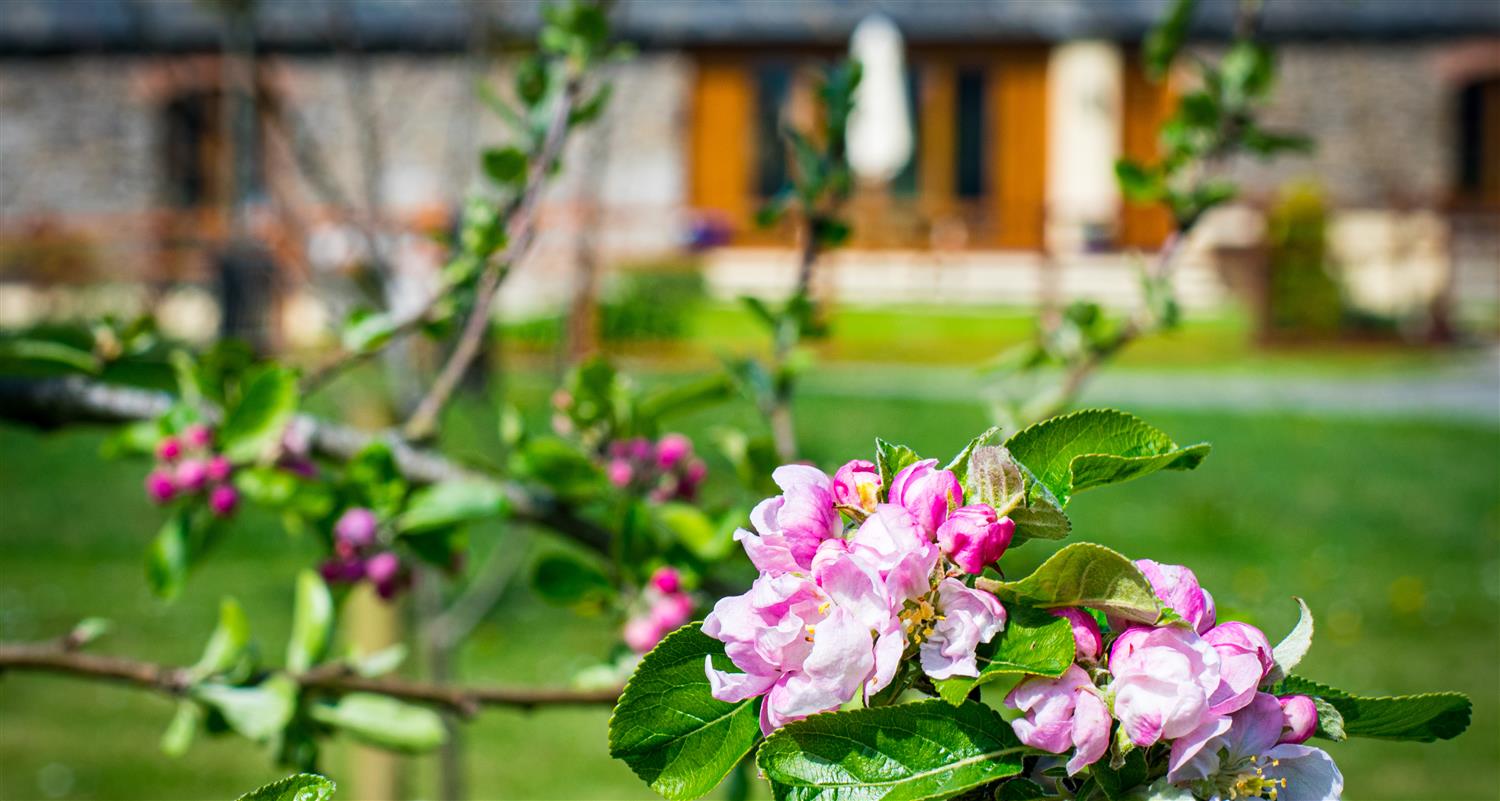 0, 87, 1500, 801, 4430, 2364