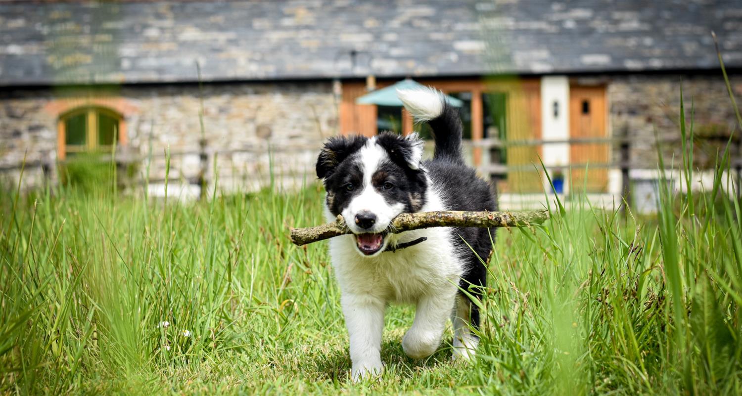 0, 82, 1500, 801, 2160, 1153