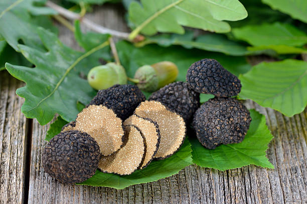 Black truffles