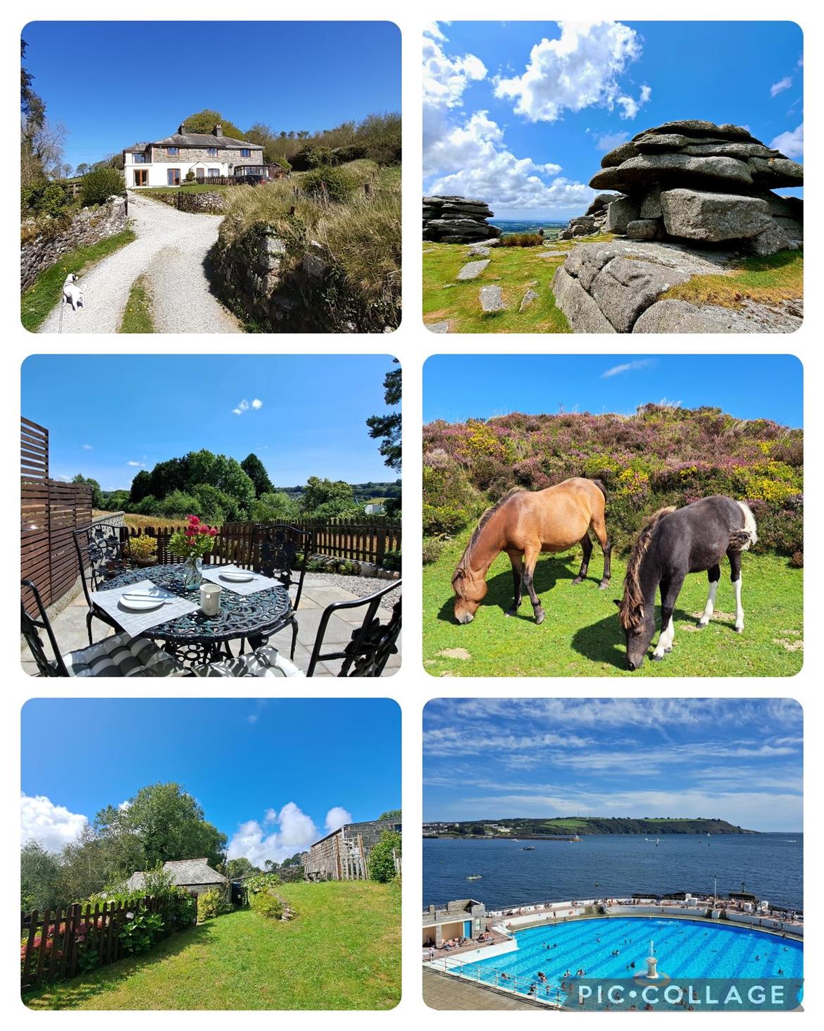 Dog friendly self hot sale catering accommodation dartmoor