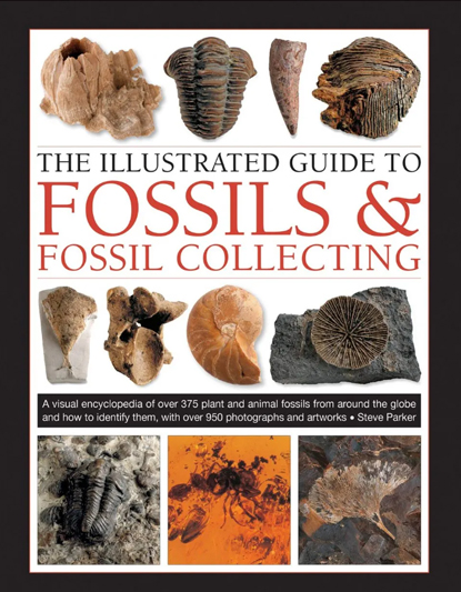 fossil hunting books at seafern cottage near robin hoods bay