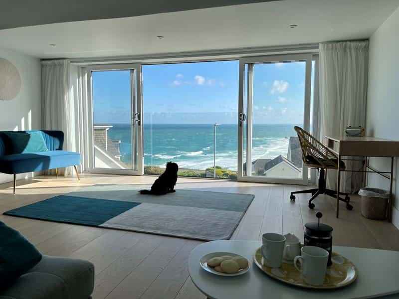 Dog watching the ocean at Day Dawn St Ives