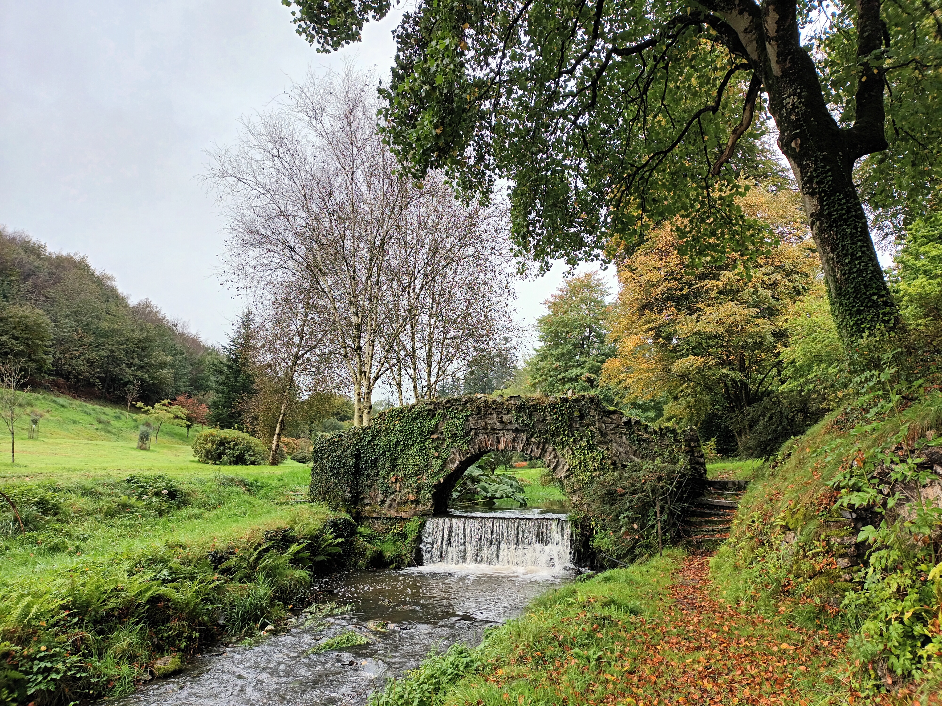 Bridge, waterfall and woodland at Castle Hill