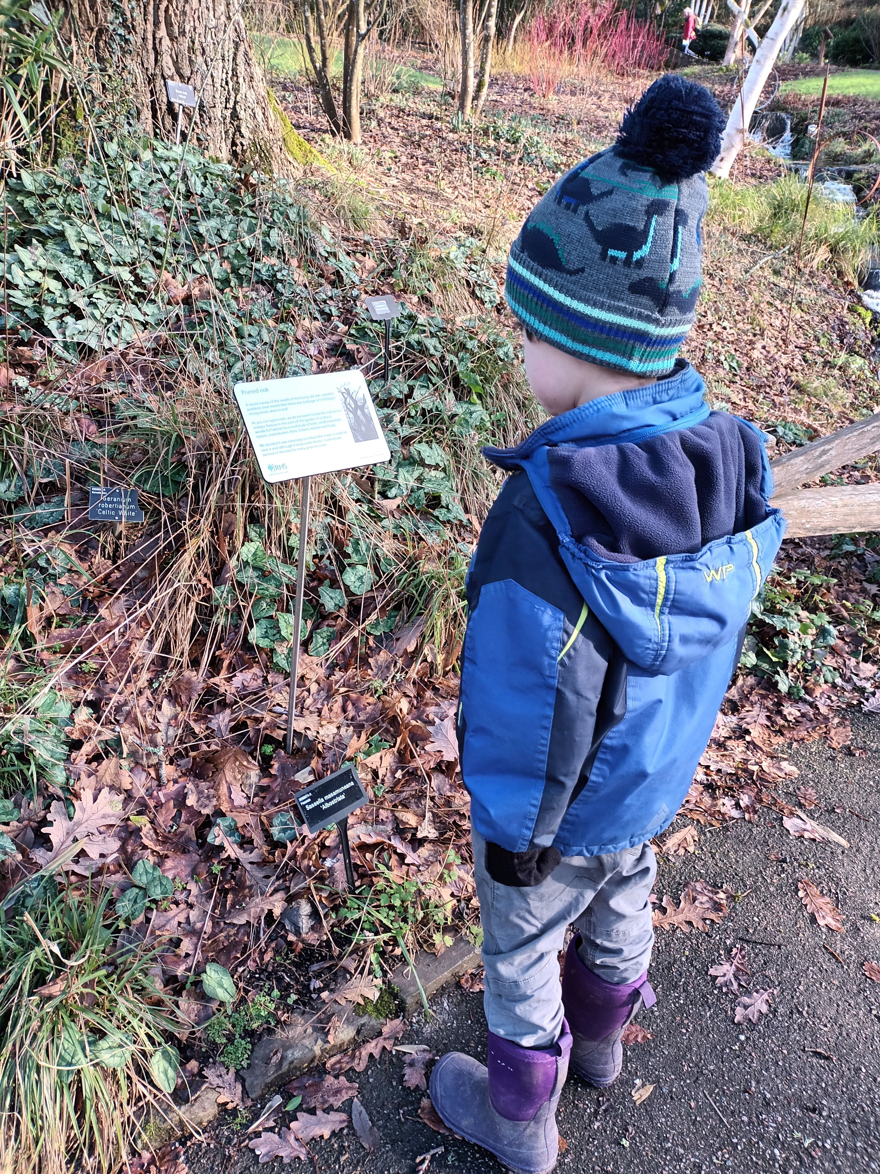 Child reading an information sign at Rosemoor gardens