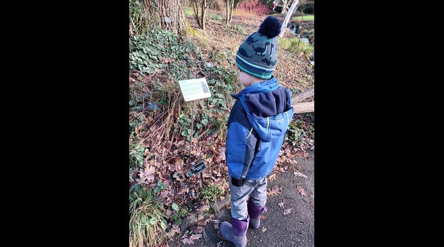 Child reading an information sign at Rosemoor gardens
