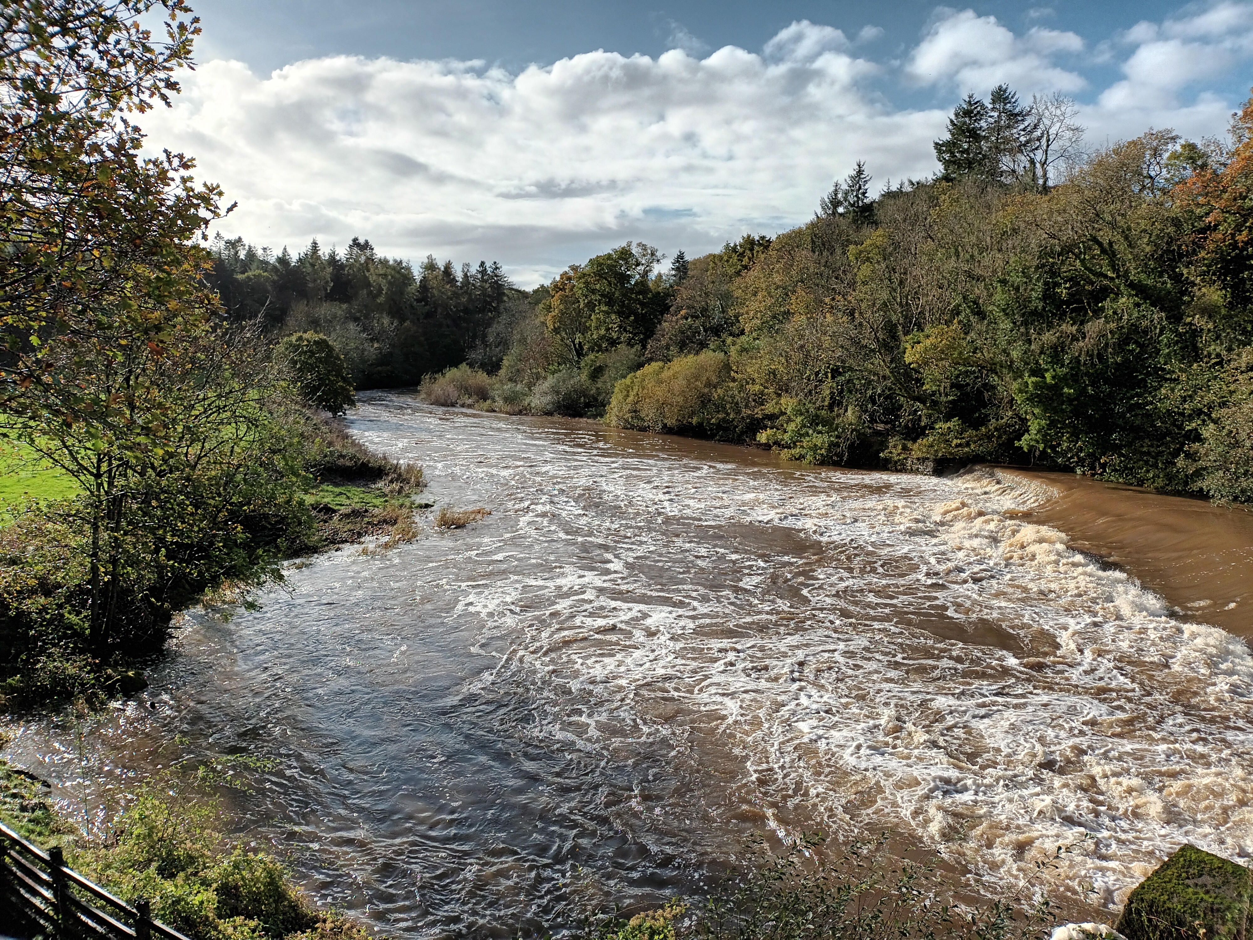 River with woodland on it