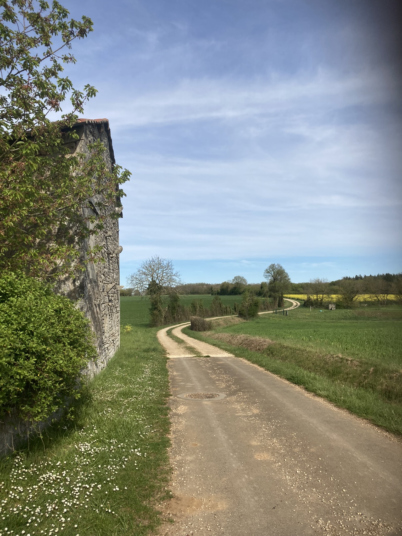 View of barn from the lane 