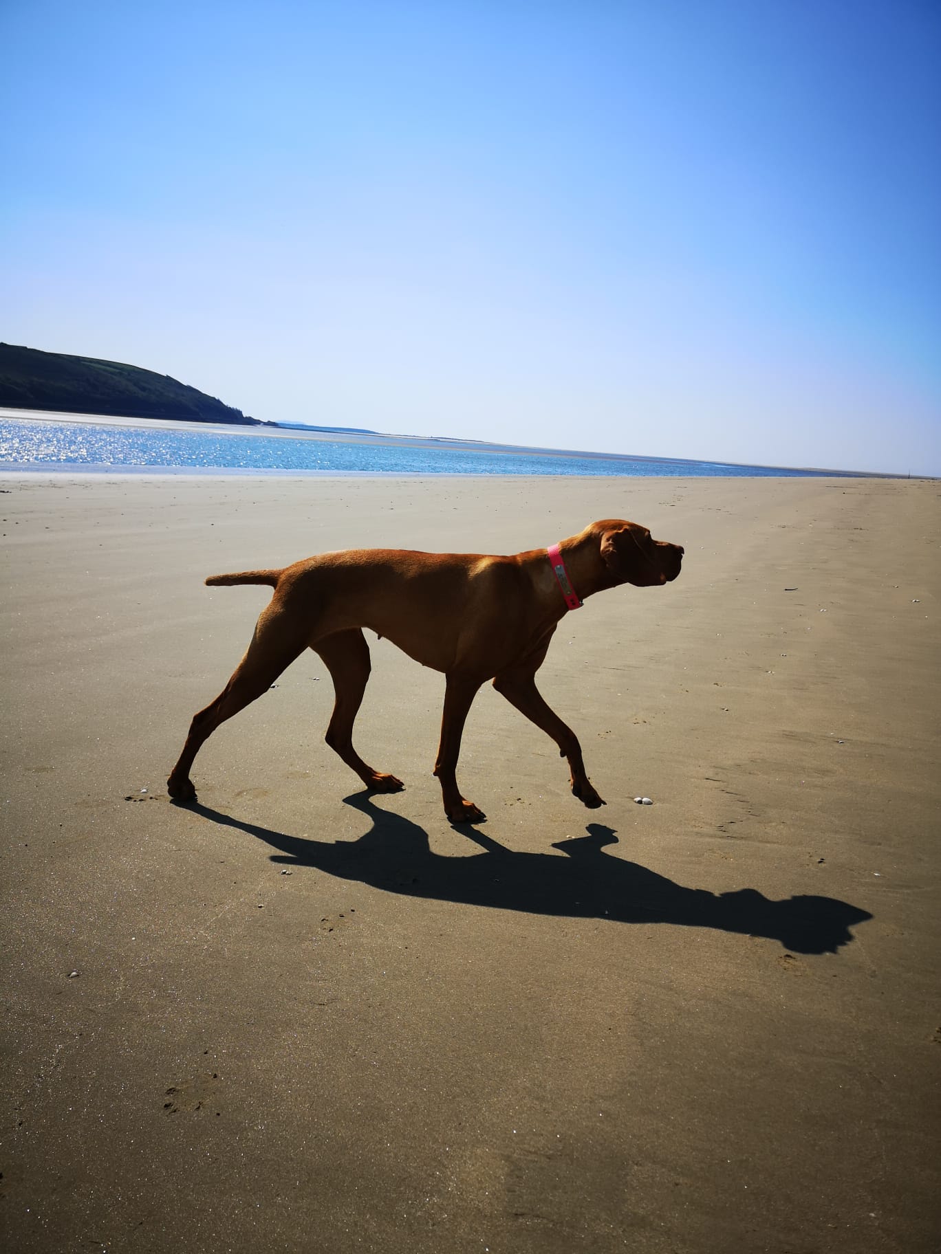 Llansteffan Beach